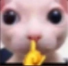 shhh emote