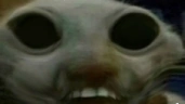 xddemon emote