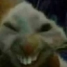 xdx emote