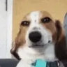 mewhenathieno2 emote