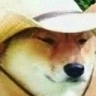 WotInTarnation emote