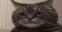 Emote