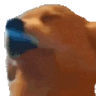 dogVibe emote