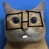 goofyahh emote