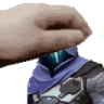 PETTHEOMEN emote
