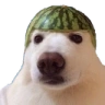 hat emote