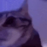 imgoingINSANE emote