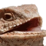 hehe emote