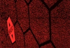 EMERGENCY emote