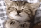 Mods emote