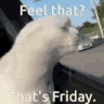 Friday emote