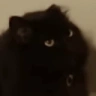 be emote