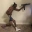 BACKUP