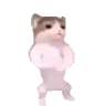 catPls emote