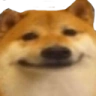 shibaHeh emote