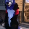 furryDance emote
