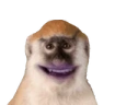 KIKI emote