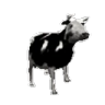 cowJAMSPIN emote