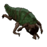 factPizdak emote