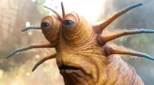paul emote