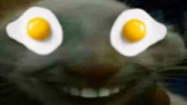 eggsdd emote