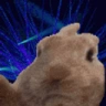 TotemicTime emote