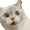 uhoh emote