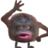 regulus emote