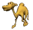 Kamel emote