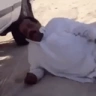 peepoSleep emote
