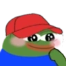 peepoStory emote