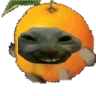 OrangexddRun emote