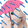 FeelsRainBun emote