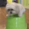 ANSIEDO emote