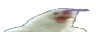 wideChicken