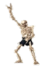 SkeleMetal emote