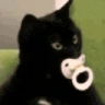 5051 emote