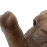 VIBE emote