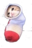 CatSocks emote