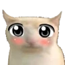 WeebCat emote