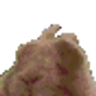 bunnyDisco emote