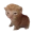 Robert