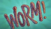 WORM emote