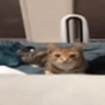 peeposmash emote