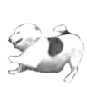 DoggoPls emote