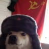 Tovarisch emote