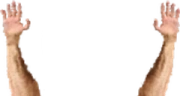 ARMS emote
