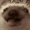 ejik emote