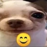 )))))) emote