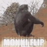 MonkeyFlip emote
